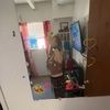 lizprevitire